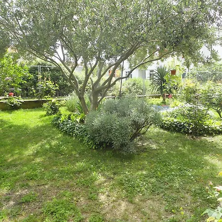 Appartement Maletic